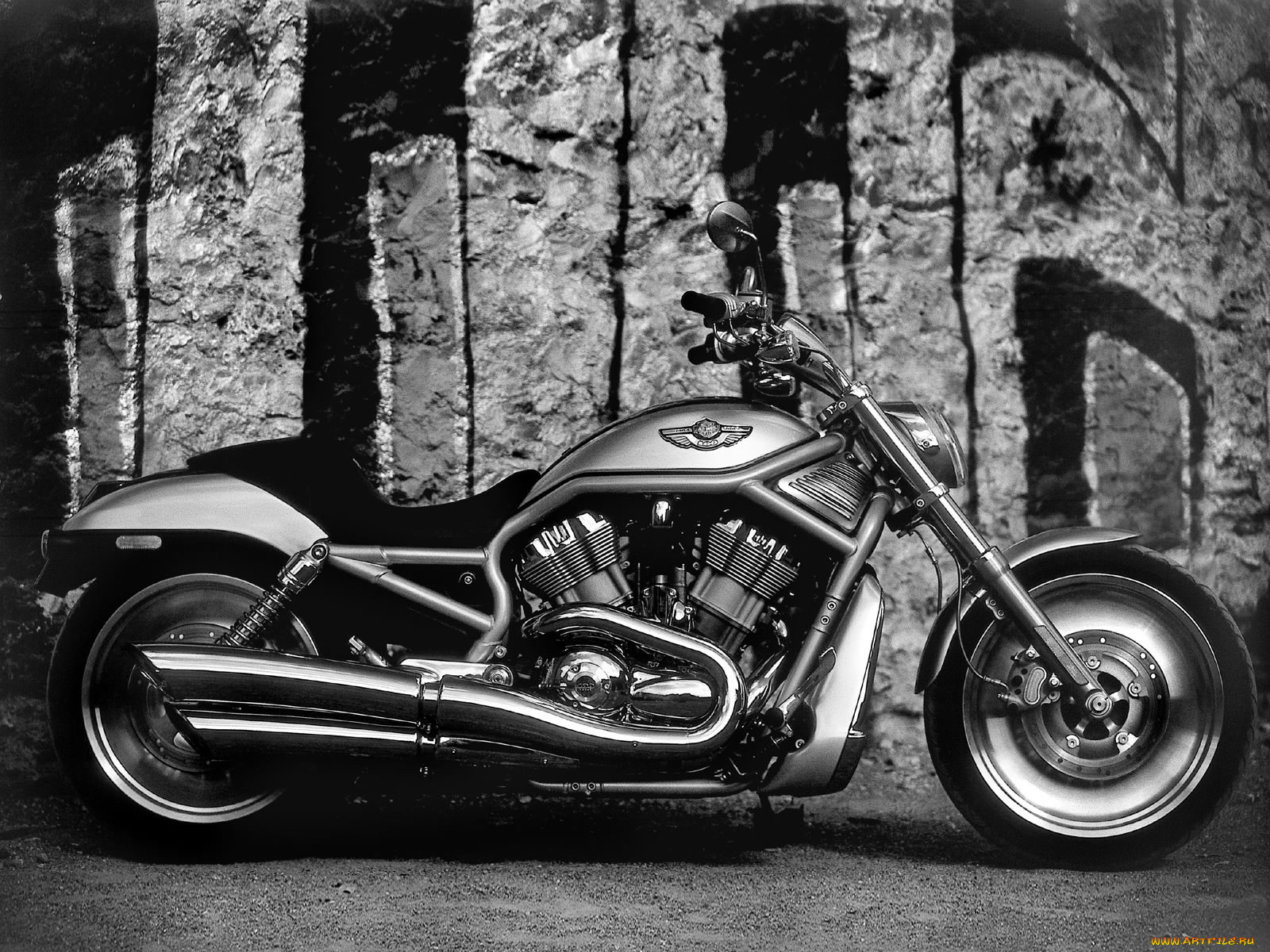 harley, davidson, vrsca, rod, 2003, 